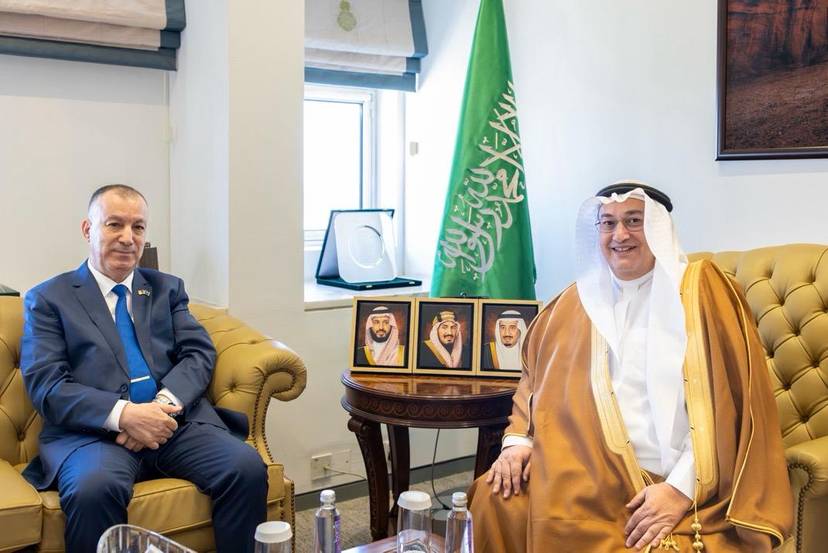 لقاء السفير مع وكيل وزارة الخارجية للشؤون الدبلوماسية العامة
